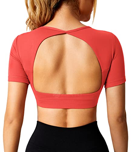 ZAAYO Sport Shirt Damen Backless Short Sleeved Halter Crop Top Highly Stretchy Fitness Stitching Shirts Tomatenrot Medium von ZAAYO