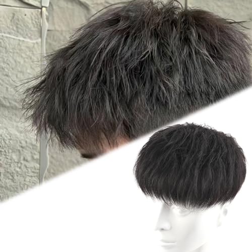 Echthaar-Topper für Herren, Haarspange im Haarteil, kurzes Echthaar-Toupet zum Abdecken von weißem, ausgefallenem Haar(Black,18 * 20CM) von ZBYXPP