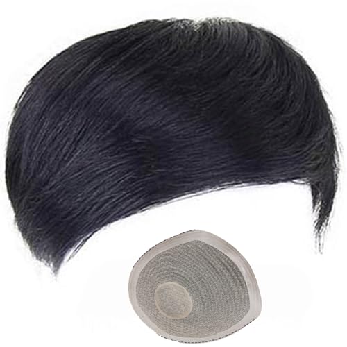 Herren-Perücken-Toupet-System, Herrenperücke aus Echthaar mit PU-umlaufendem Haarband. Zwei Möglichkeiten, Viskose/Haarnadeln zu tragen(C,20 * 22CM) von ZBYXPP