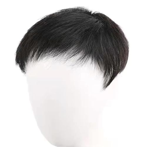 Real Hair Toupee for Men, Kurze Schwarze Perücken Echthaar Clip Weiche Vollspitze Haarersatzsystem Haarteile(Black,5.5 * 7.4inch) von ZBYXPP