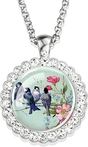 Accessoires 925 Sterling Silber Hummingbird Halskette für Frauen und Männer, Hummingbird Halskette Kardinalvogelkunst Bild Glas Strass Anhänger Kette Netter Vogelschmuck, niedlicher Tierschmuck Urlaub Accessoires 925 Sterling Silber Hummingbird Halskette für Frauen und Männer, Hummingbird Halskette Kardinalvogelkunst Bild Glas Strass Anhänger Kette Netter Vogelschmuck, niedlicher Tierschmuck Urlaub von ZCCZJS