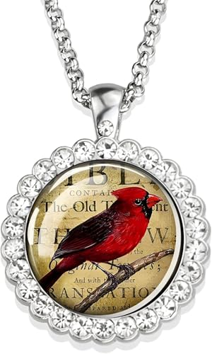 Accessoires 925 Sterling Silber Hummingbird Halskette für Frauen und Männer, Hummingbird Halskette Kardinalvogelkunst Bild Glas Strass Anhänger Kette Netter Vogelschmuck, niedlicher Tierschmuck Urlaub Accessoires 925 Sterling Silber Hummingbird Halskette für Frauen und Männer, Hummingbird Halskette Kardinalvogelkunst Bild Glas Strass Anhänger Kette Netter Vogelschmuck, niedlicher Tierschmuck Urlaub von ZCCZJS