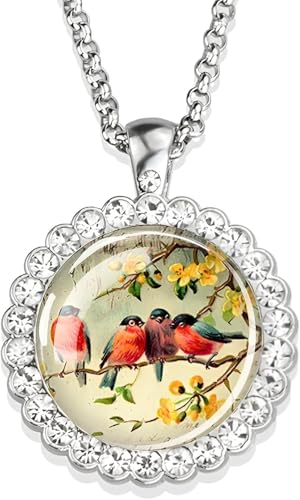 Accessoires 925 Sterling Silber Hummingbird Halskette für Frauen und Männer, Hummingbird Halskette Kardinalvogelkunst Bild Glas Strass Anhänger Kette Netter Vogelschmuck, niedlicher Tierschmuck Urlaub Accessoires 925 Sterling Silber Hummingbird Halskette für Frauen und Männer, Hummingbird Halskette Kardinalvogelkunst Bild Glas Strass Anhänger Kette Netter Vogelschmuck, niedlicher Tierschmuck Urlaub von ZCCZJS