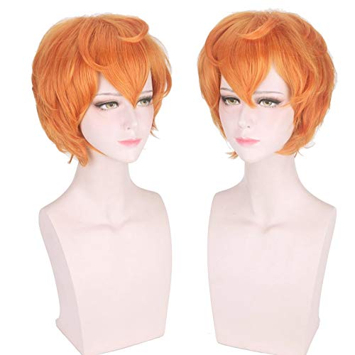 Cosplay -Periode Anime Land of Shiny Zircon Perücken Cosplay Kostüm Houski Keine Kuni Männer & Frauen Kurzes synthetisches Haar Halloween Party Perücken von ZCCZJS