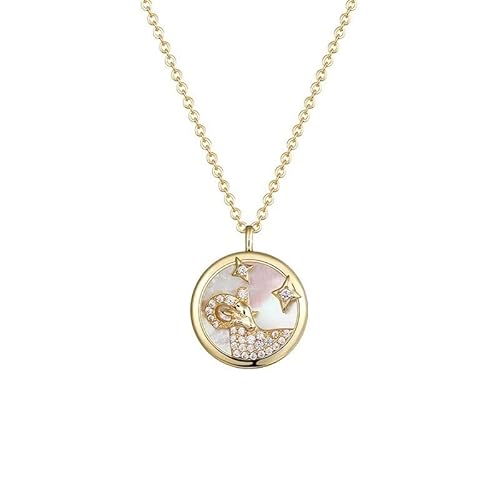 Halskette einzigartige Zodiac Design Halskette 925 Runde Pendellschlüsselketten Kette Geburtstagsgeschenk für Freundin, Frau Halsketten für Frauen von ZCCZJS