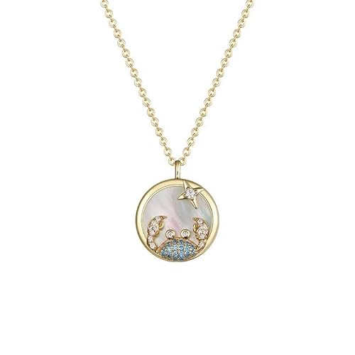 Halskette einzigartige Zodiac Design Halskette 925 Runde Pendellschlüsselketten Kette Geburtstagsgeschenk für Freundin, Frau Halsketten für Frauen von ZCCZJS
