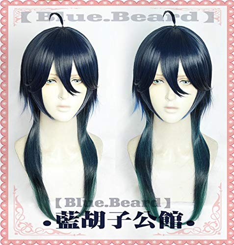 MALSEUS DRACQMA COSPLY Ahnung Twisted Wonderland Cosplay Perücke Dornröschen Männchen Lang Cosplay Haare Synthetische Männer Frauen Rollenspiel spielen Sky Blau von ZCCZJS