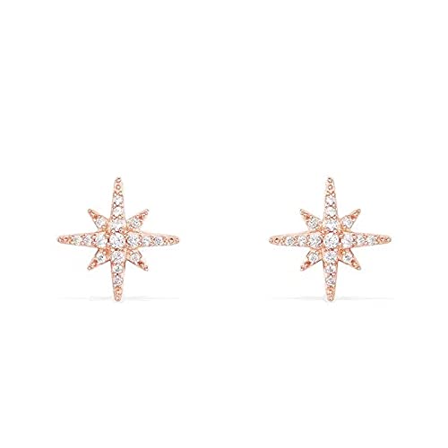 Sternform Diamant Stud Ohrring 100% Party Hochzeit Ohrringe für Frauen Brautschmuck Sternform Diamant Stud Ohrring 100% Party Hochzeit Ohrringe für Frauen Brautschmuck von ZCCZJS