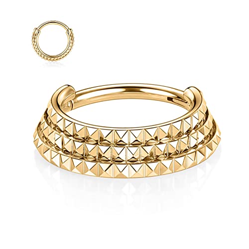 ZCVFROY 316L Surgical Steel Hinged Seamless Septum Clicker 16G 14G ilage Helix s Daith Tragus for Women Men von ZCVFROY