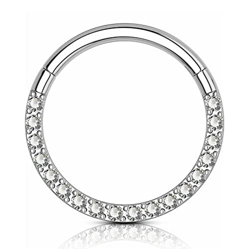ZCVFROY G23 Titanium Nose Rings Hoop Septum Clicker 16G Hinged Nose Segment Ring Hoop 8mm/9mm/10mm CubZirconia ilage s Conch Daith Helix Rook Tragus Ear Body Piercing Jewelry von ZCVFROY