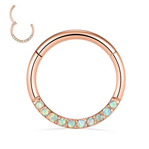 ZCVFROY Septum Ring Helix Conch Tragus Piercing Jewelry 316L Surgical Steel Nose Ring Hoop ilage 20G 18G 16G 14G von ZCVFROY