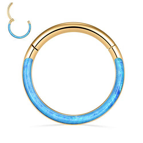 ZCVFROY Septum Ring Helix Conch Tragus Piercing Jewelry 316L Surgical Steel Nose Ring Hoop ilage 20G 18G 16G 14G von ZCVFROY