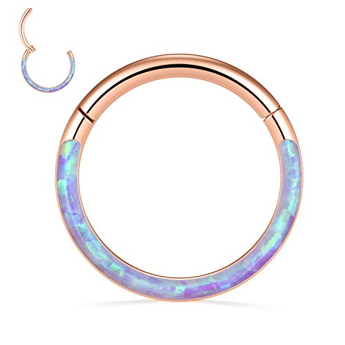 ZCVFROY Septum Ring Helix Conch Tragus Piercing Jewelry 316L Surgical Steel Nose Ring Hoop ilage 20G 18G 16G 14G von ZCVFROY