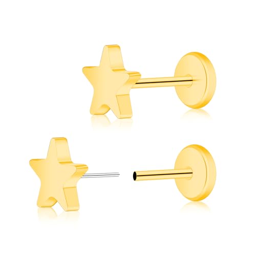ZDE Frauen Ohrringe Threadless Flat Back Stern Ohrringe Titan Hypoallergene Knorpel Nicht-Nickel Rosa Push Back Ohrring Ohrstecker für empfindliche Ohren Einfache Ohrstecker (Gold) von ZDE