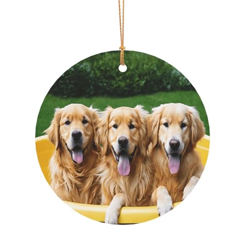 ZDFHKYDY Golden Retriever Hunde – Bedruckter runder Aluminium-Anhänger – doppelseitiger Druck, vorgebohrtes Loch für Bastelarbeiten und Veranstaltungen., 8 cm, Aluminium ZDFHKYDY Golden Retriever Hunde – Bedruckter runder Aluminium-Anhänger – doppelseitiger Druck, vorgebohrtes Loch für Bastelarbeiten und Veranstaltungen., 8 cm, Aluminium von ZDFHKYDY