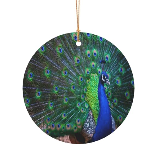 ZDFHKYDY Schöner Pfau-Druck, individuelle runde Aluminium-Anhänger, doppelseitiger Druck, vorgebohrtes Loch für Bastelarbeiten und Veranstaltungen., 10 cm, Aluminium ZDFHKYDY Schöner Pfau-Druck, individuelle runde Aluminium-Anhänger, doppelseitiger Druck, vorgebohrtes Loch für Bastelarbeiten und Veranstaltungen., 10 cm, Aluminium von ZDFHKYDY