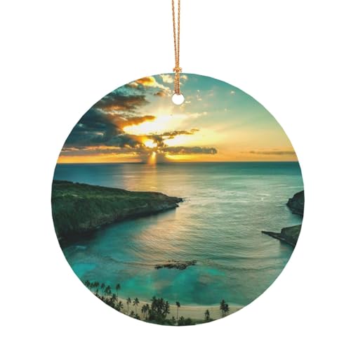 ZDFHKYDY Sonnenaufgang über Hawaii – Bedrucken Sie individuelle runde Aluminium-Anhänger, doppelseitiger Druck, vorgebohrtes Loch für Bastelarbeiten und Veranstaltungen., 8 cm, Aluminium ZDFHKYDY Sonnenaufgang über Hawaii – Bedrucken Sie individuelle runde Aluminium-Anhänger, doppelseitiger Druck, vorgebohrtes Loch für Bastelarbeiten und Veranstaltungen., 8 cm, Aluminium von ZDFHKYDY