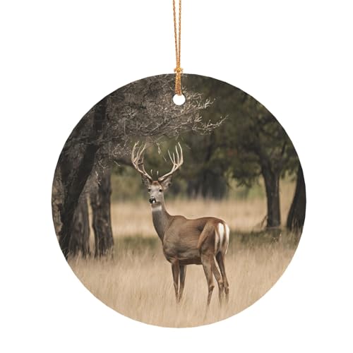 ZDFHKYDY Weißschwanz-Hirsch-Druck, individuelle runde Aluminium-Anhänger, doppelseitiger Druck, vorgebohrtes Loch für Bastelarbeiten und Veranstaltungen., 10 cm, Aluminium ZDFHKYDY Weißschwanz-Hirsch-Druck, individuelle runde Aluminium-Anhänger, doppelseitiger Druck, vorgebohrtes Loch für Bastelarbeiten und Veranstaltungen., 10 cm, Aluminium von ZDFHKYDY
