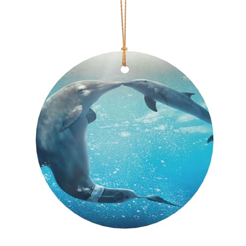 ZDFHKYDY Winter der Delfin – Bedruckter runder Aluminium-Anhänger – doppelseitiger Druck, vorgebohrtes Loch für Bastelarbeiten und Veranstaltungen., 8 cm, Aluminium ZDFHKYDY Winter der Delfin – Bedruckter runder Aluminium-Anhänger – doppelseitiger Druck, vorgebohrtes Loch für Bastelarbeiten und Veranstaltungen., 8 cm, Aluminium von ZDFHKYDY