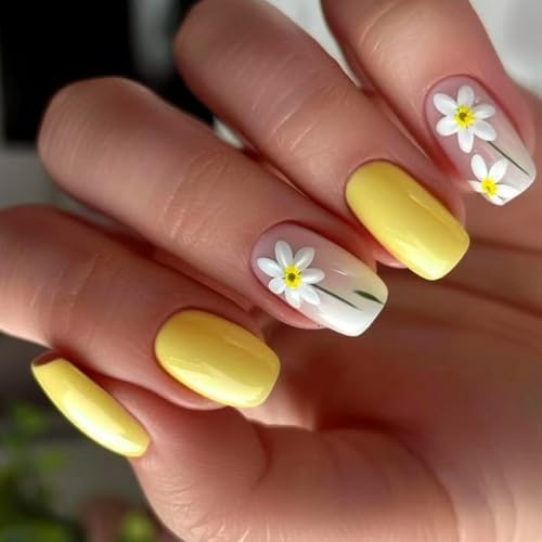 24 Stück Nägel zum Aufdrücken, französische Spitze, quadratische Nägel, Spitzen, Designs, künstliche Acryl-Klebstoffe, für Damen, transparent 24 Stück Nägel zum Aufdrücken, französische Spitze, quadratische Nägel, Spitzen, Designs, künstliche Acryl-Klebstoffe, für Damen, transparent von ZEPFJHE