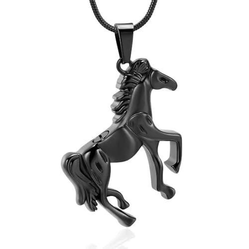 ZEZILE Einäscherung Schmuck Urne Halskette für Asche Edelstahl Asche Anhänger Andenken Denkmal für Halskette für Männer Frauen von ZEZILE