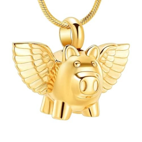 ZEZILE Einäscherung Schmuck Urne Halskette für Asche Edelstahl Asche Anhänger für Frauen Männer Andenken Denkmal für Schmuck von ZEZILE