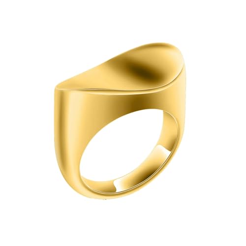 ZEZILE Einäscherungsring für Asche Edelstahl Mensch Haustier Asche Halter Urnen Hand Ring Beerdigung Andenken Schmuck für Frauen Männer von ZEZILE