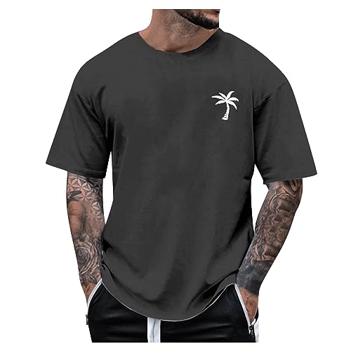 Oversized Tshirt Herren Weiße Tshirts Herren Rundhals Wander Tshirt Herren Grafik Kreativen Buchstaben Vintage T-Shirts Für Herren Schwarz Sportshirt Bequeme Männer Oberteile Dunkelgrau XXL von ZGIDDAZ