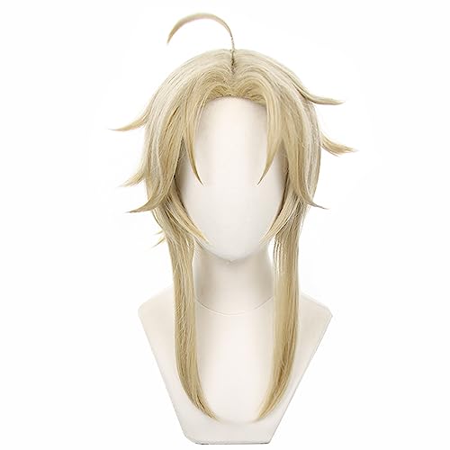 Anime Cosplay Wig for Game Honkai Star Rail Cosplay Wig Long Purple Red Hair for Girls and Women with Free Wig Cap (Yanqing) von ZGNGLIZ