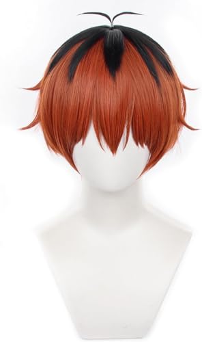 ZGNGLIZ Anime Frieren Cosplay Perücke für Sousou no Frieren, lange silberweiße Haarperücken mit 2 abnehmbaren Pferdeschwänzen für Frauen und Mädchen (Stark) von ZGNGLIZ