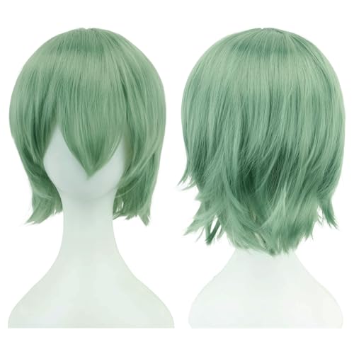Anime Kurze Perücke Cosplay Unisex Kurze Perücke Kurzhaarperücke Flauschiges Haar, Hitzebeständiges Synthetisches Haar Für Damen Herren Halloween Party Kostüm (A) von ZHANGXIAOMIN