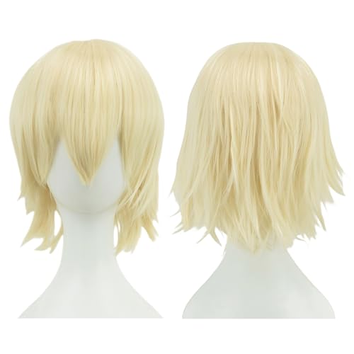 Anime Kurze Perücke Cosplay Unisex Kurze Perücke Kurzhaarperücke Flauschiges Haar, Hitzebeständiges Synthetisches Haar Für Damen Herren Halloween Party Kostüm (F) von ZHANGXIAOMIN