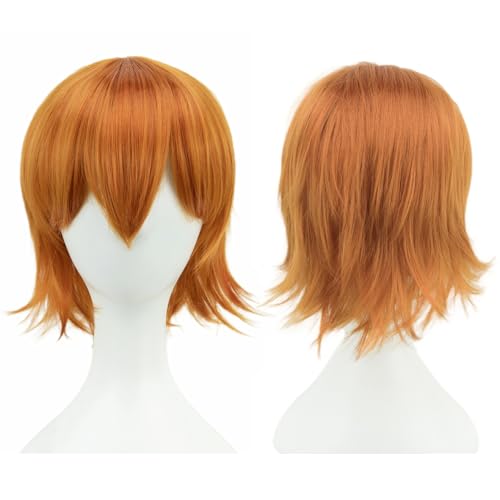Anime Kurze Perücke Cosplay Unisex Kurze Perücke Kurzhaarperücke Flauschiges Haar, Hitzebeständiges Synthetisches Haar Für Damen Herren Halloween Party Kostüm (K) von ZHANGXIAOMIN