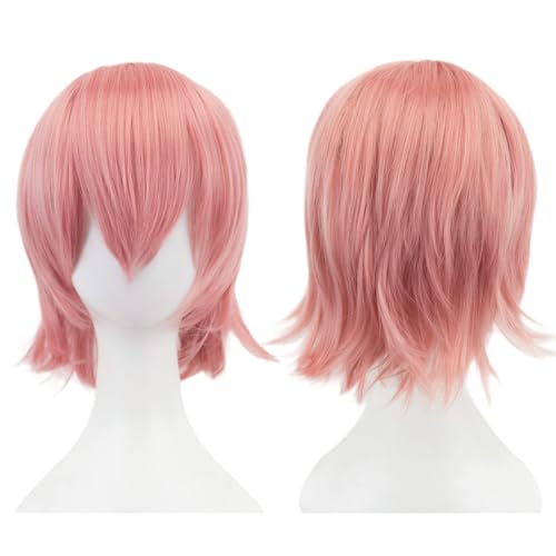 Anime Kurze Perücke Cosplay Unisex Kurze Perücke Kurzhaarperücke Flauschiges Haar, Hitzebeständiges Synthetisches Haar Für Damen Herren Halloween Party Kostüm (L) von ZHANGXIAOMIN
