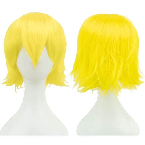 Anime Kurze Perücke Cosplay Unisex Kurze Perücke Kurzhaarperücke Flauschiges Haar, Hitzebeständiges Synthetisches Haar Für Damen Herren Halloween Party Kostüm (N) von ZHANGXIAOMIN