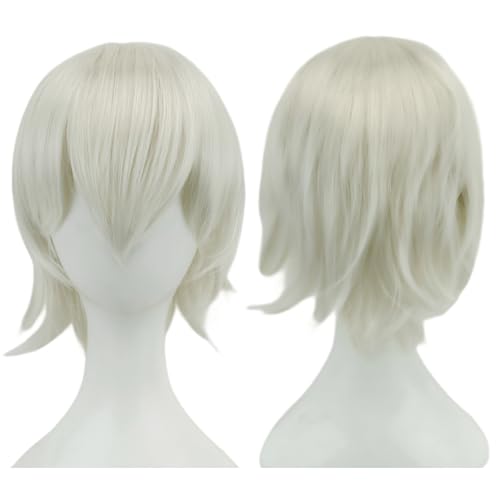Anime Kurze Perücke Cosplay Unisex Kurze Perücke Kurzhaarperücke Flauschiges Haar, Hitzebeständiges Synthetisches Haar Für Damen Herren Halloween Party Kostüm (Q) von ZHANGXIAOMIN