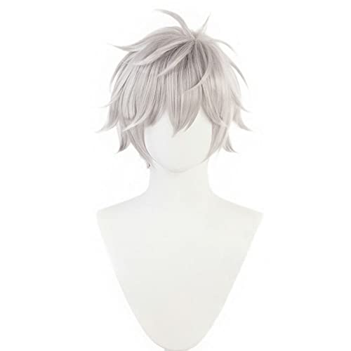 ZHAOKING Kaworu Nagisa Cosplay Perücke EVA Neon Genesis Evangelion Cosplay Kaworu Nagisa Perücke,Perücke Kappe Enthalten von ZHAOKING