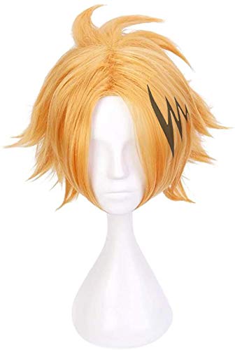 ZHAOSJ Denki Kaminari Cosplay-Perücke mit Blitz-Clip, Zubehör für Damen und Herren ZHAOSJ Denki Kaminari Cosplay-Perücke mit Blitz-Clip, Zubehör für Damen und Herren von ZHAOSJ
