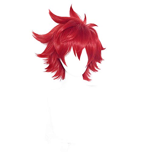 ZHAOSJ SK8 die Unendlichkeit Reki Kyan Cosplay Perücke Rot Kurze Flauschige Herren Halloween Party Haar ZHAOSJ SK8 die Unendlichkeit Reki Kyan Cosplay Perücke Rot Kurze Flauschige Herren Halloween Party Haar von ZHAOSJ