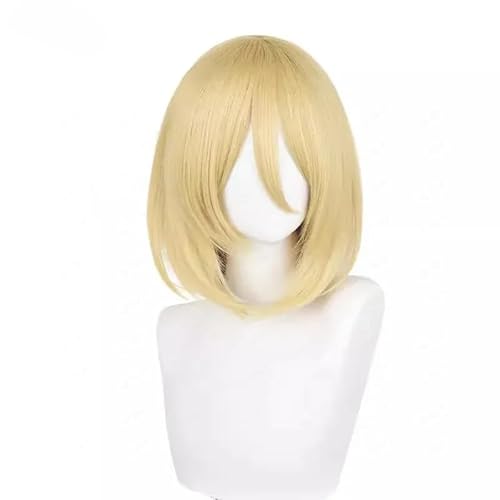 ZHAOSJ Zurückgebundene Eren Jaeger Yeager Cosplay Perücke Dunkelbraun für Herren Halloween Kostümparty ZHAOSJ Zurückgebundene Eren Jaeger Yeager Cosplay Perücke Dunkelbraun für Herren Halloween Kostümparty von ZHAOSJ