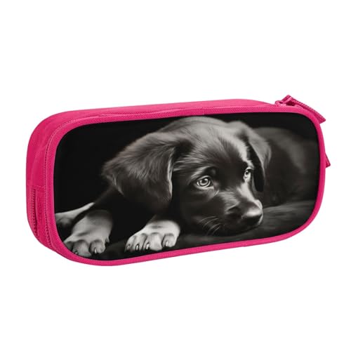 ZHONGSK Große Kapazität Federmäppchen Stifttasche Schreibwarenbeutel Stifteetui mit Fächern Reißverschluss, Niedliche Federtasche | Welpen Hund | Stifteetui Organizer für Jungen Mädchen und von ZHONGSK