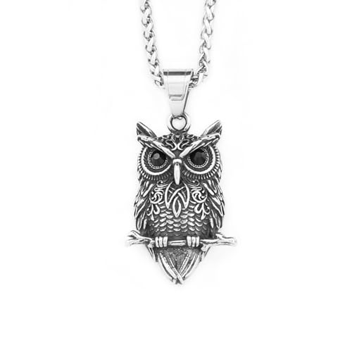 ZIAFRPN Punk Vintage Eule Anhänger Halskette Mode Hip Hop Tier Amulett Halskette für Männer Frauen Schmuck Geschenk Glückwunsch Geschenke von ZIAFRPN
