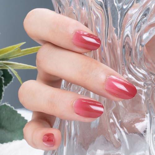 24 Pcs Press On Nägel Kurz, Eckige Künstliche Fingernägel zum Aufkleben, Acryl Press On Nails French, Full Cover Künstliche Nägel für Frauen und Mädchen (Rotverlauf) von ZILZUFA