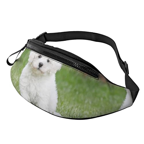 Bichon Frise Dog Crossbody Tasche Hüfttasche Handy Gürteltasche Übung Yoga Reisen Laufen Freisprecheinrichtung Geldbörse von ZIMBRO