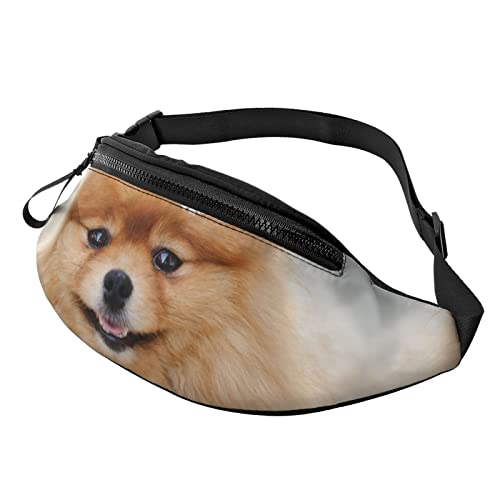 Hund mit Blume Crossbody Tasche Hüfttasche Handy Gürteltasche Übung Yoga Reisen Laufen Freisprecheinrichtung Geldbörse von ZIMBRO