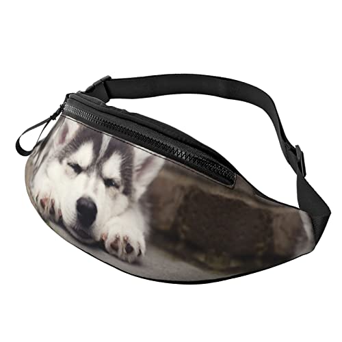 Husky Dog Crossbody Tasche Hüfttasche Handy Gürteltasche Übung Yoga Reisen Laufen Freisprecheinrichtung Geldbörse von ZIMBRO