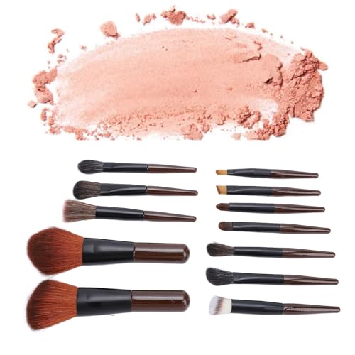 12-teiliges Reise-Make-up-Pinsel-Set, Mini-Puder-Highlight-Concealer-Lidschatten-Rouge-Pinsel, Schwarzbraun mit Verdicktem Aluminiumrohr, Faserbürstenhaar von ZJchao