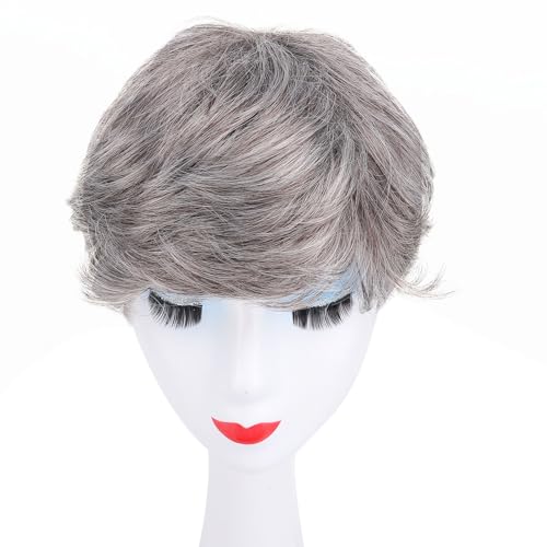 Herren-Perücke, Kurzes Haar, Hochwertige Synthetische Netzkappe, Kostümhaar für ältere Männer Mittleren Alters von ZJchao