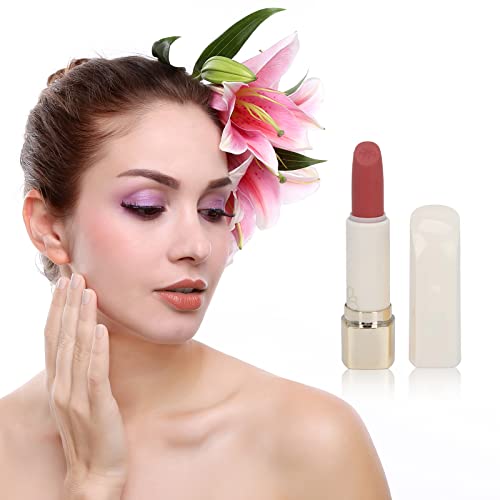 rose lippenstift mit Satin Finish, Rosen Lippenstift, Matt, Wasserdicht, Hohe Farbwiedergabe, Geschnitzter Lippenstift für Frauen 3,7 G(#102) von ZJchao