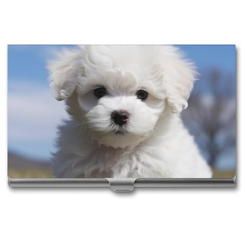 ZLFDSKGY Visitenkartenhalter, schmal, Metall, Visitenkartenetui für Männer und Frauen, Bichon Frisé, Hund, Namenskartenhalter, professionelle Geschäftskarten, Organizer, Kreditträger ZLFDSKGY Visitenkartenhalter, schmal, Metall, Visitenkartenetui für Männer und Frauen, Bichon Frisé, Hund, Namenskartenhalter, professionelle Geschäftskarten, Organizer, Kreditträger von ZLFDSKGY